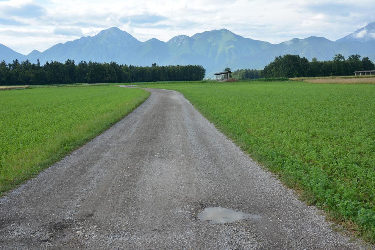 Apartma Vidmar Šenčur Esterno foto